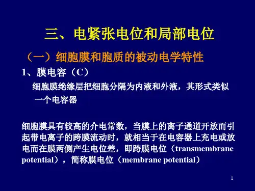 生理学课件之细胞4电紧张电位和局部电位