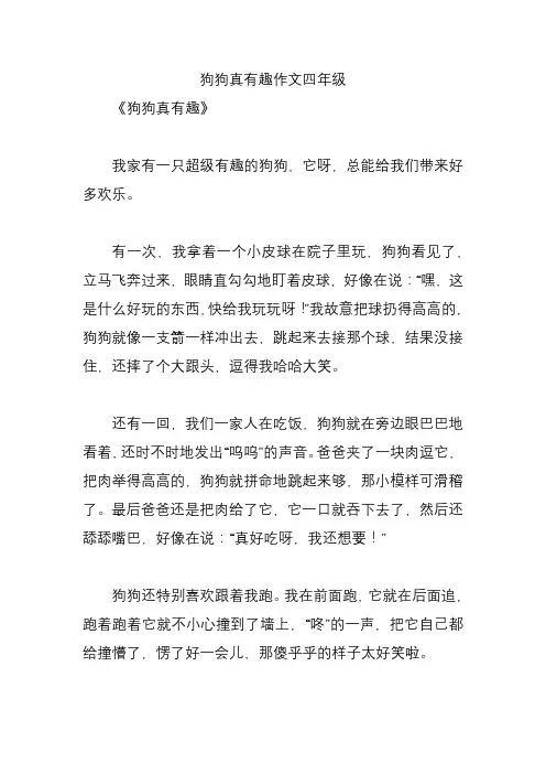 狗狗真有趣作文四年级