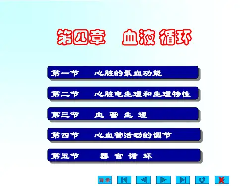 血液循环-生理学课件