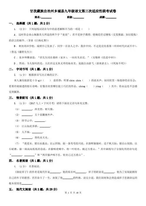 甘孜藏族自治州乡城县九年级语文第三次适应性联考试卷
