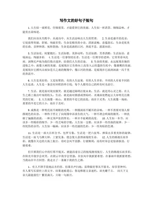写作文的好句子短句