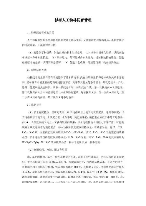 杉木人工林抚育技术