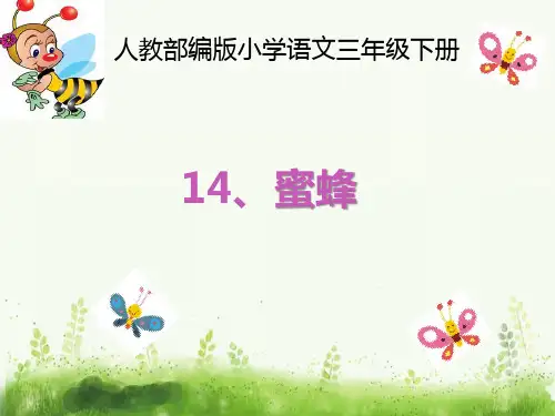 最新部编人教版小学三年级下册语文《蜜蜂》优质课件