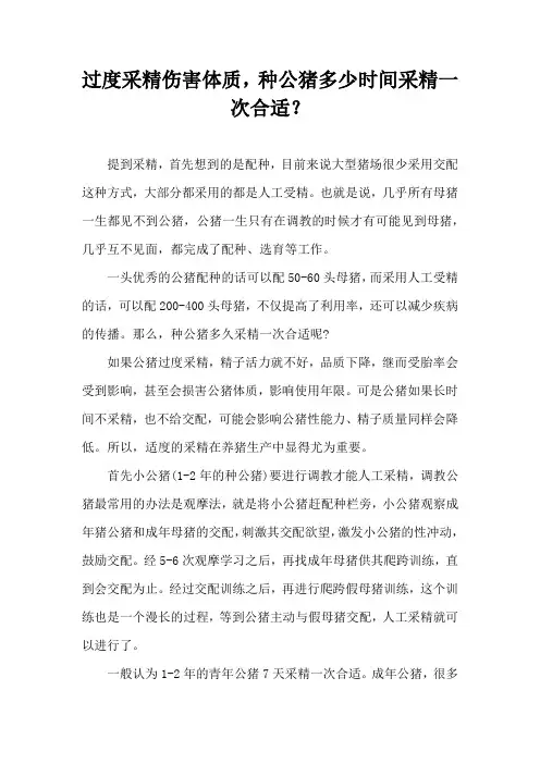 过度采精伤害体质，种公猪多少时间采精一次合适？