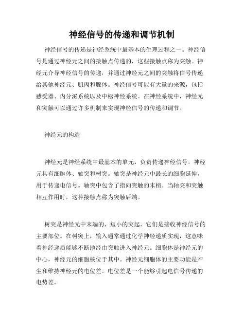 神经信号的传递和调节机制
