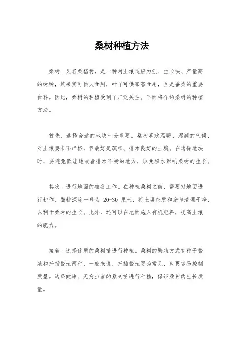 桑树种植方法