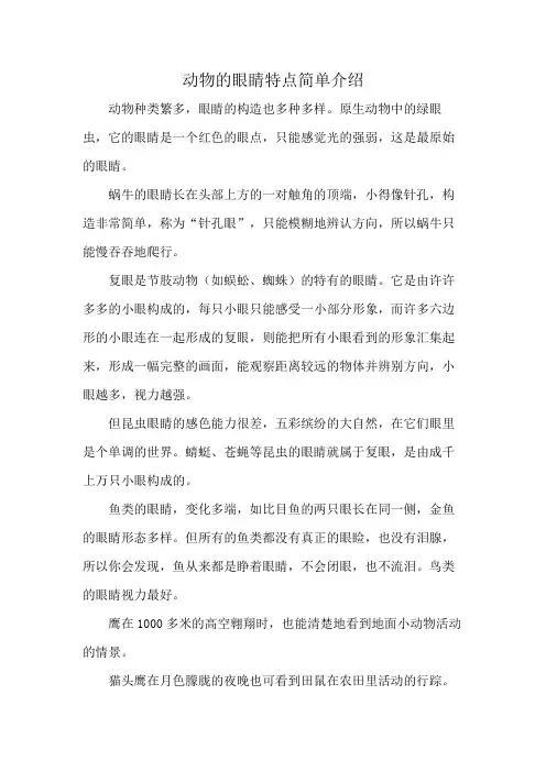 动物的眼睛特点简单介绍
