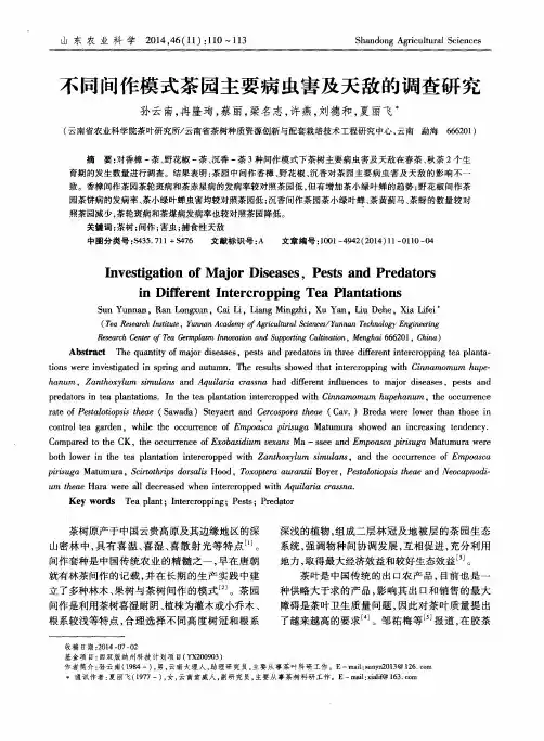 不同间作模式茶园主要病虫害及天敌的调查研究