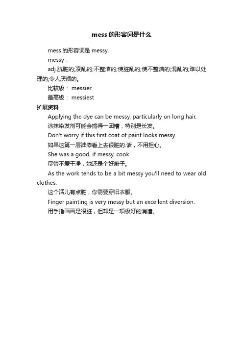 mess的形容词是什么