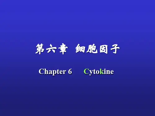 第六章  细胞因子 Chapter 6      Cytokine