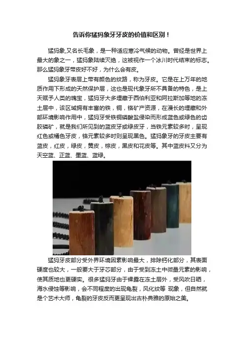 告诉你猛犸象牙牙皮的价值和区别！