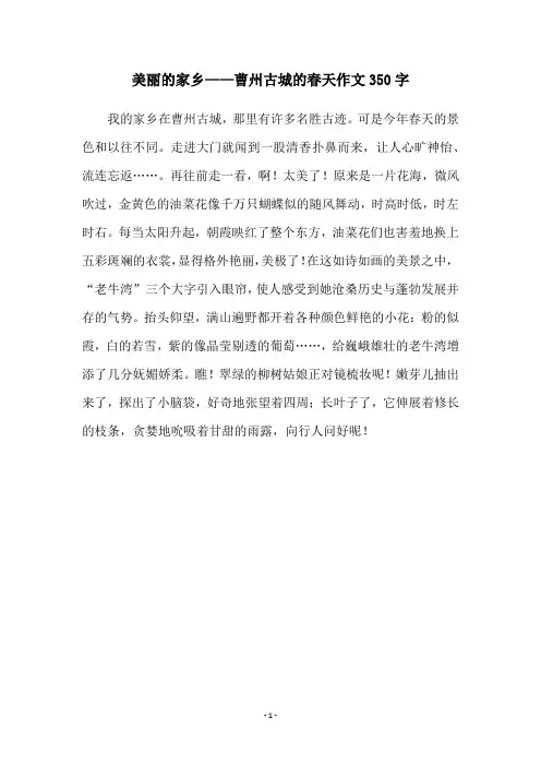 美丽的家乡——曹州古城的春天作文350字