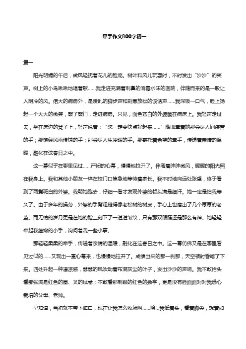 牵手作文800字初一