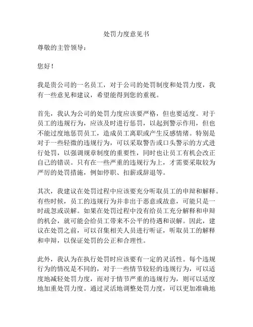 处罚力度意见书