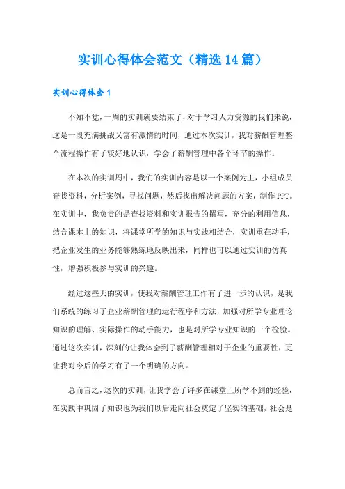 实训心得体会范文(精选14篇)