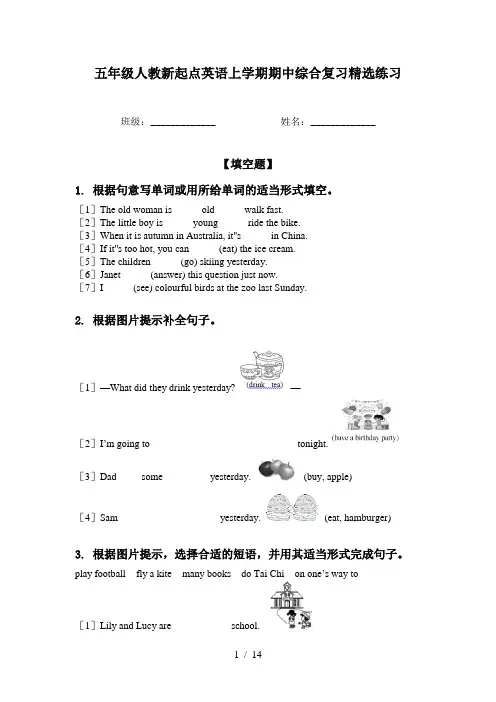 五年级人教新起点英语上学期期中综合复习精选练习