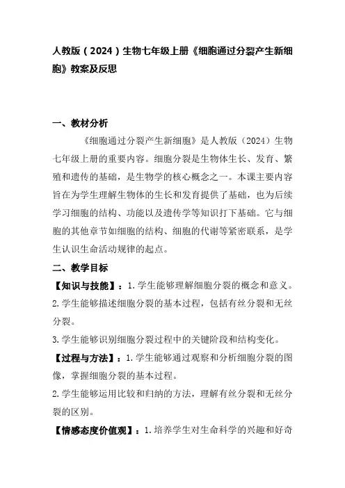 人教版(2024)生物七年级上册《细胞通过分裂产生新细胞》教案及反思