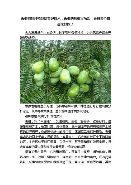 香榧树的种植栽培管理技术，香榧的病虫害防治，香榧果价格高太好吃了