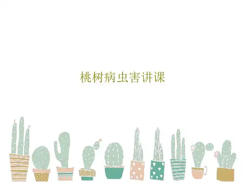 桃树病虫害讲课PPT共24页