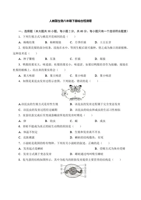 人教版生物八年级下册  综合检测卷(含答案)