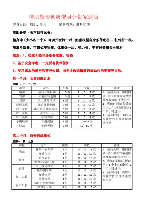 增肌塑形初级家庭版