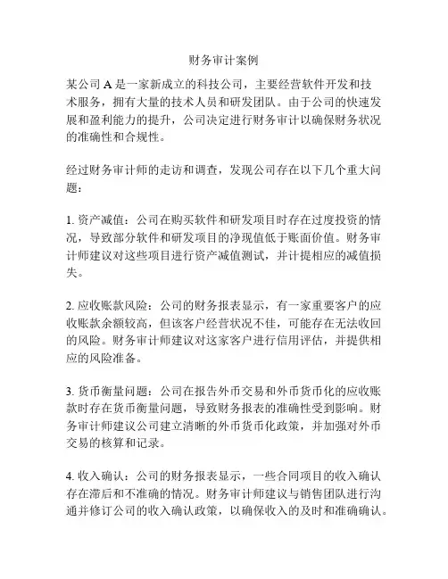 财务审计案例