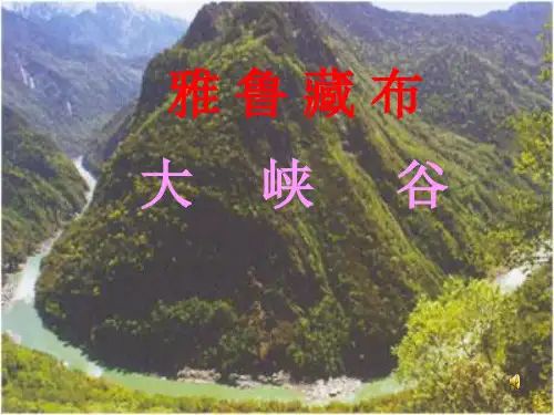 雅鲁藏布大峡谷任PPT课件