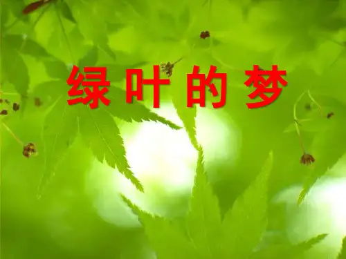 语文S版语文四上《绿叶的梦》ppt课件2