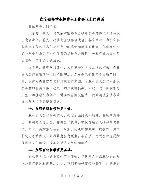 在全镇春季森林防火工作会议上的讲话