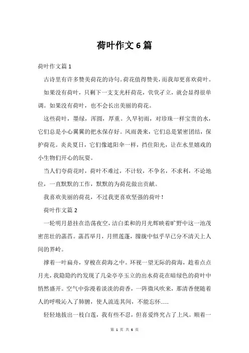 荷叶作文6篇