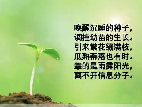 第1节 植物生长素的发现PPT优选课件