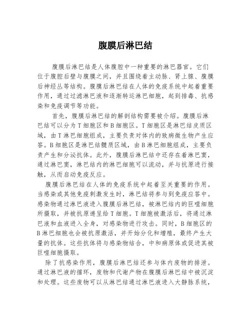 腹膜后淋巴结