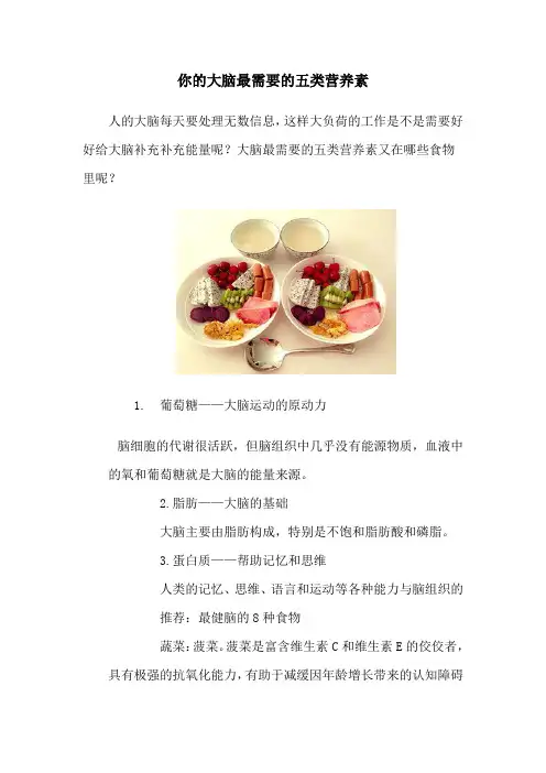 你的大脑最需要的五类营养素