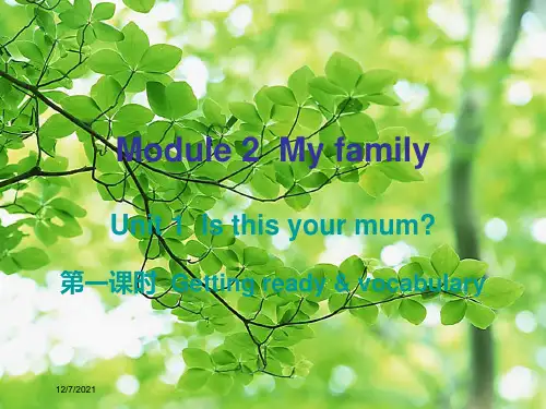 七年级英语上册 module 2 my family课件外研级上册英语课件