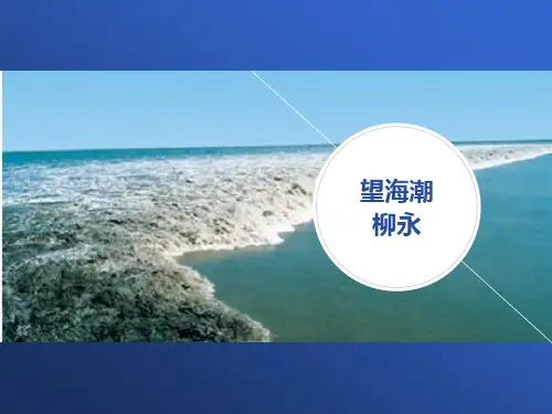 高中语文人教版必修4柳永《望海潮》