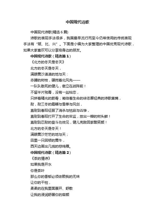 中国现代诗歌（精选6篇）