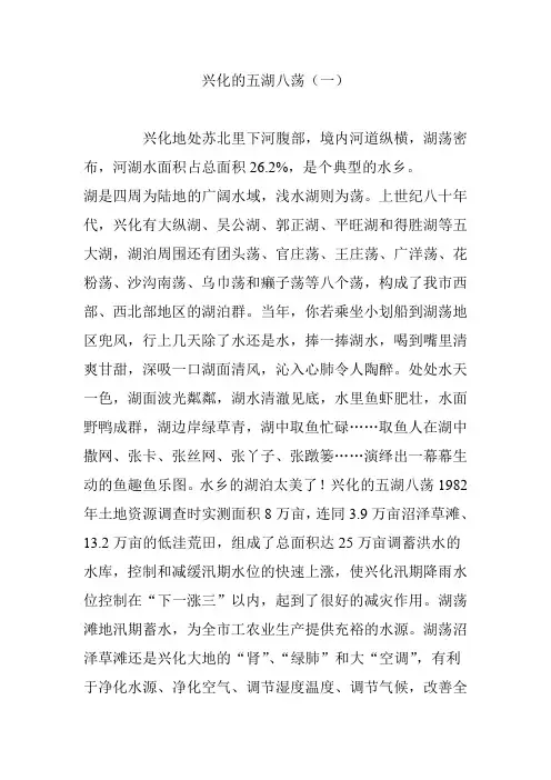 兴化的五湖八荡(一)