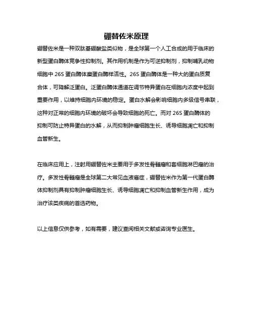 硼替佐米原理