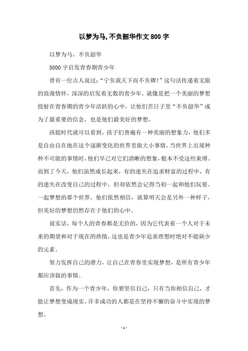 以梦为马,不负韶华作文800字