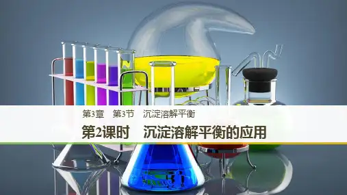 版化学学案同步选修四鲁科教通用版课件：第3章 第3节 沉淀溶解平衡 第2课时