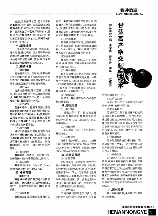 甘蓝高产杂交制种技术