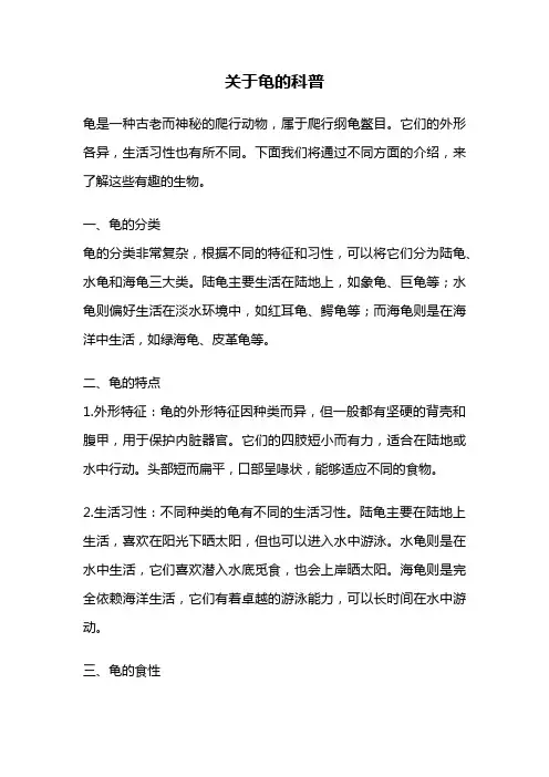 关于龟的科普