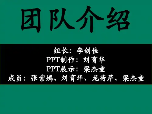OPPO的STP分析