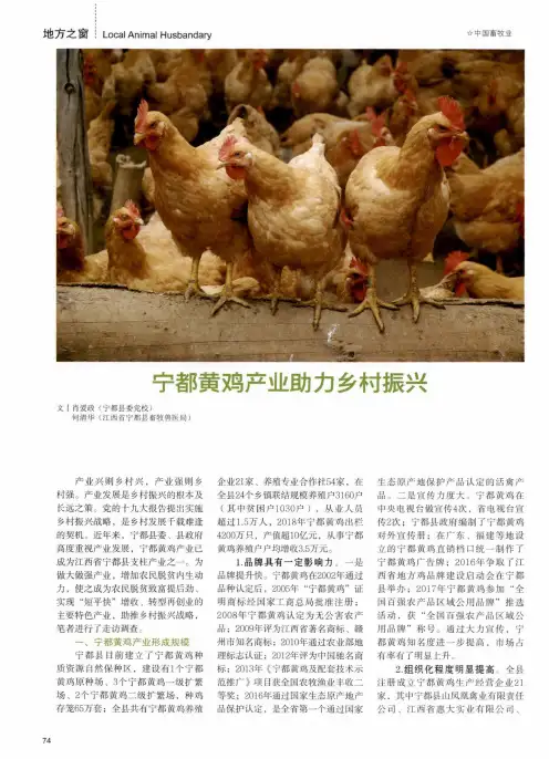 宁都黄鸡产业助力乡村振兴