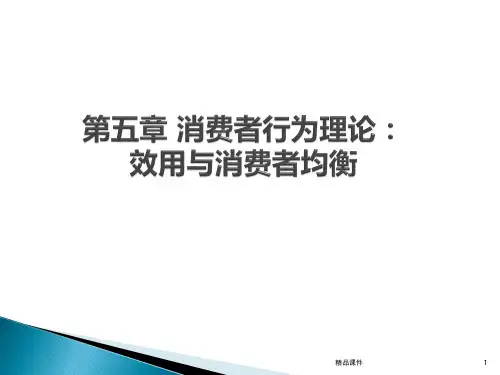 微观经济学消费者行为理论效用与消费者均衡PPT课件