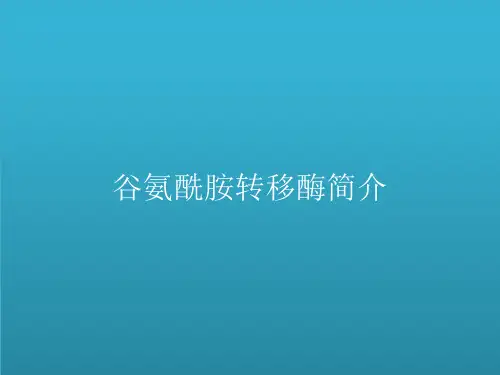 谷氨酰胺转移酶简介
