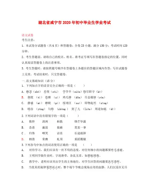 湖北省咸宁市2020年中考语文真题试题(含答案)(2)