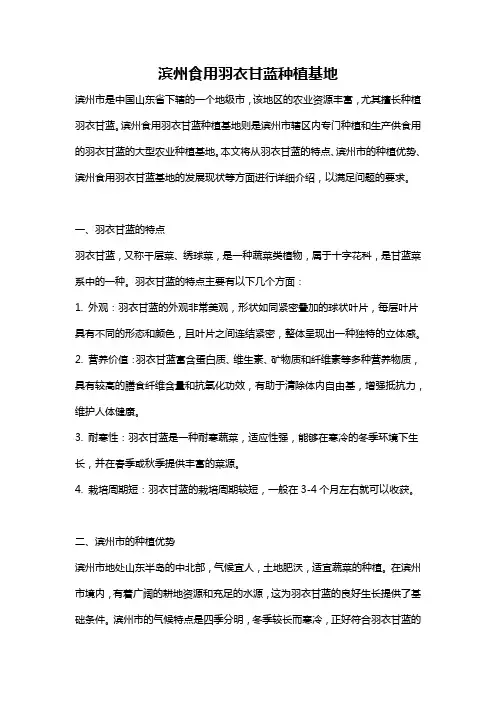 滨州食用羽衣甘蓝种植基地