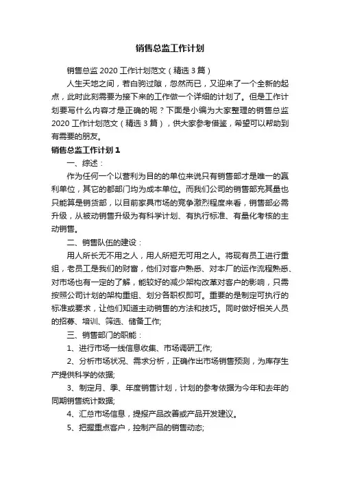 销售总监2020工作计划范文（精选3篇）