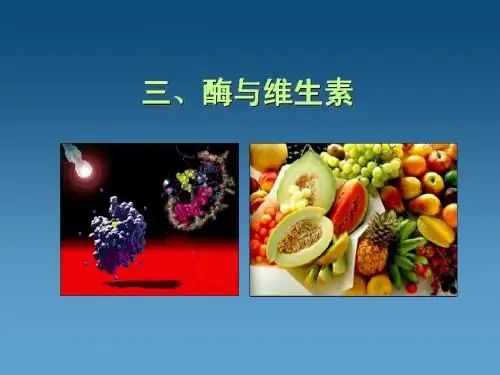 吉林大学食品生物化学 5 酶